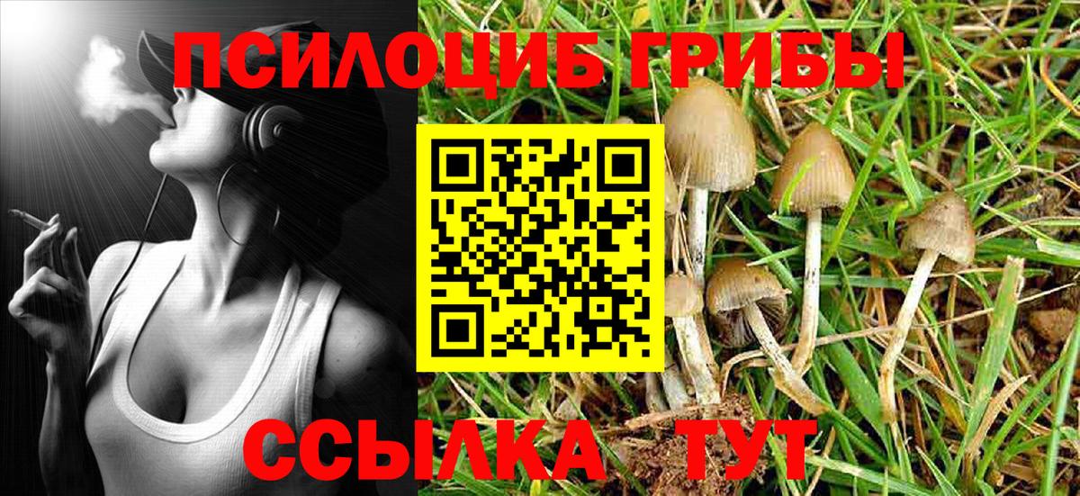 Тавда  Галлюциногенные грибы MAGIC MUSHROOMS  Вход с VPN 